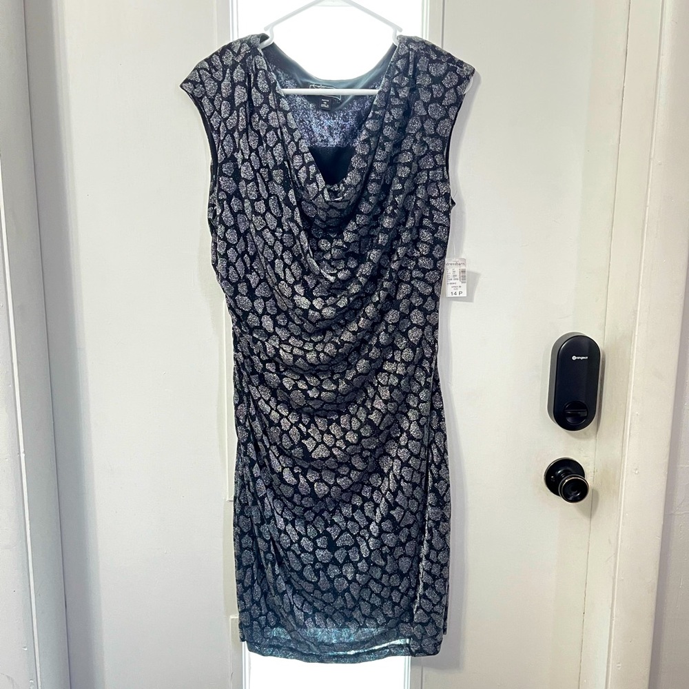 5/$30 Stunning Silver Dress